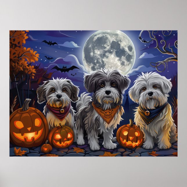 Havanese Halloween Spooky Poster (Front)