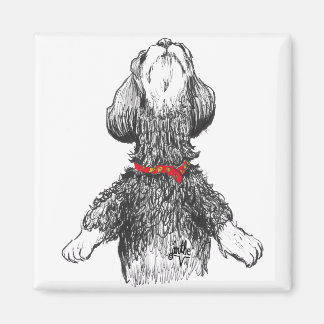 Havanese Happiness - Dancing pup! Magnet