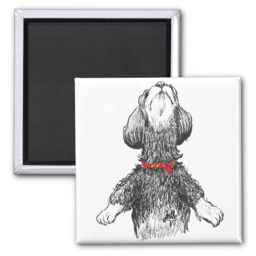 Havanese Happiness _ Dancing pup Magnet