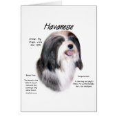Havanese History Design (Front)