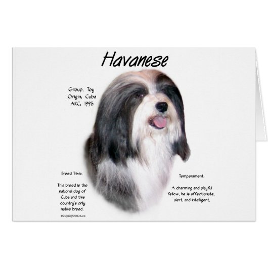 Havanese History Design (Front Horizontal)