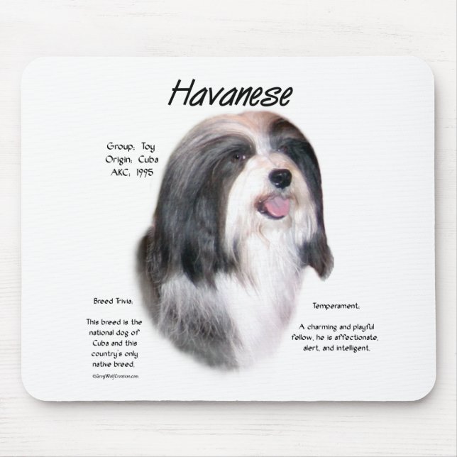 Havanese History Design Mouse Pad (Front)
