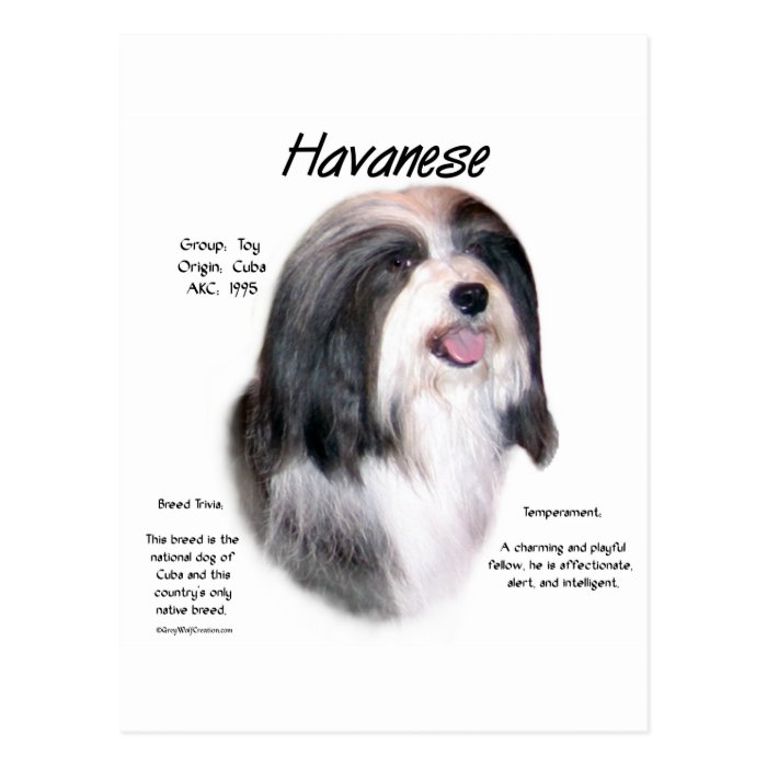 Havanese History Design Postcards