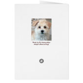 Havanese Hug card (Back)