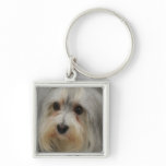 Havanese Keychain
