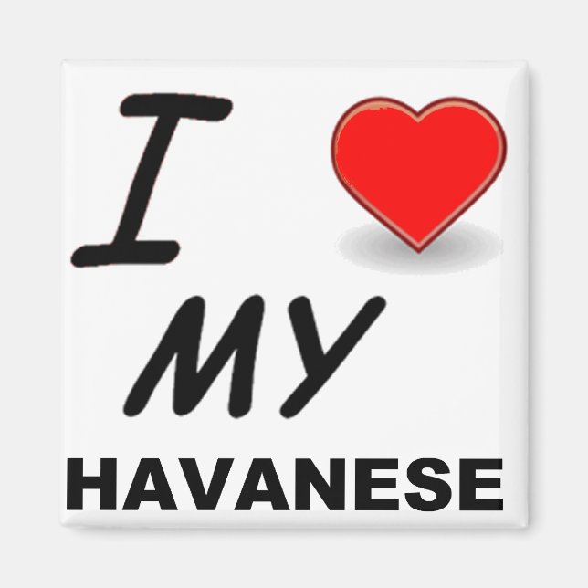havanese love magnet (Front)