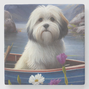 Havanese on a Paddle: A Scenic Adventure Stone Coaster