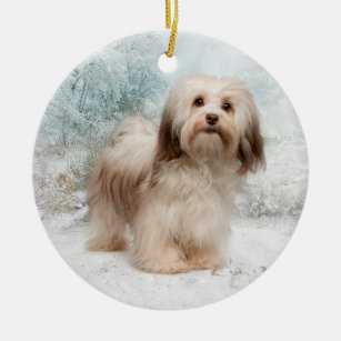 Havanese Christmas Ornaments