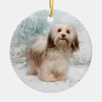 Havanese Ornament by ForLoveofDogs at Zazzle