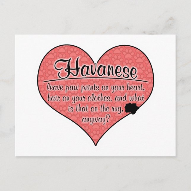 Havanese Paw Prints Dog Humor Postcard (Front)
