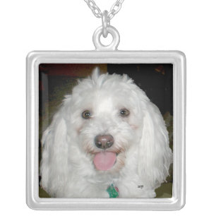 Havanese Portrait Necklace