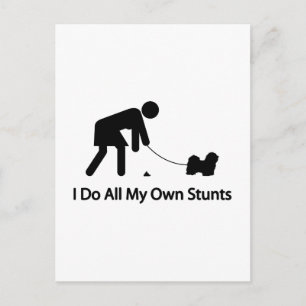 Havanese Postcard