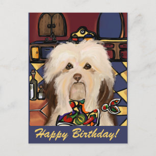 HAVANESE     POSTCARD