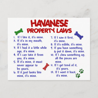 HAVANESE Property Laws 2 Postcard