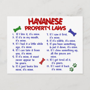 HAVANESE Property Laws 2 Postcard