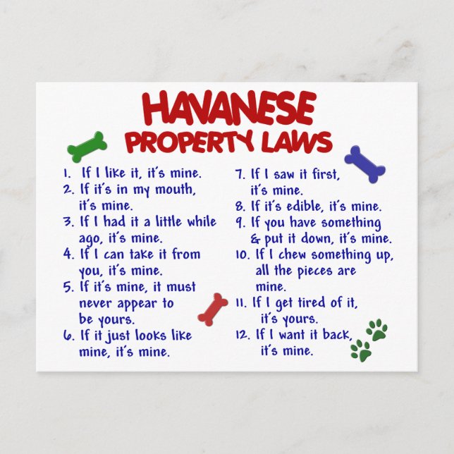 HAVANESE Property Laws 2 Postcard (Front)