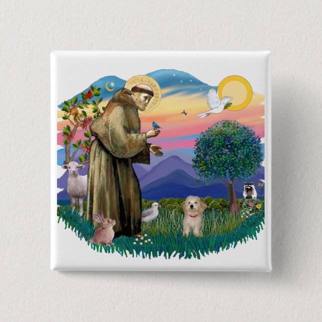 Havanese Pup Pinback Button (Front)