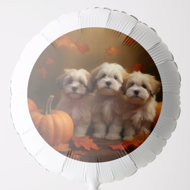 Havanese Puppy Autumn Delight Pumpkin Balloon (Front)