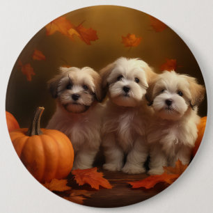 Havanese Puppy Autumn Delight Pumpkin Button