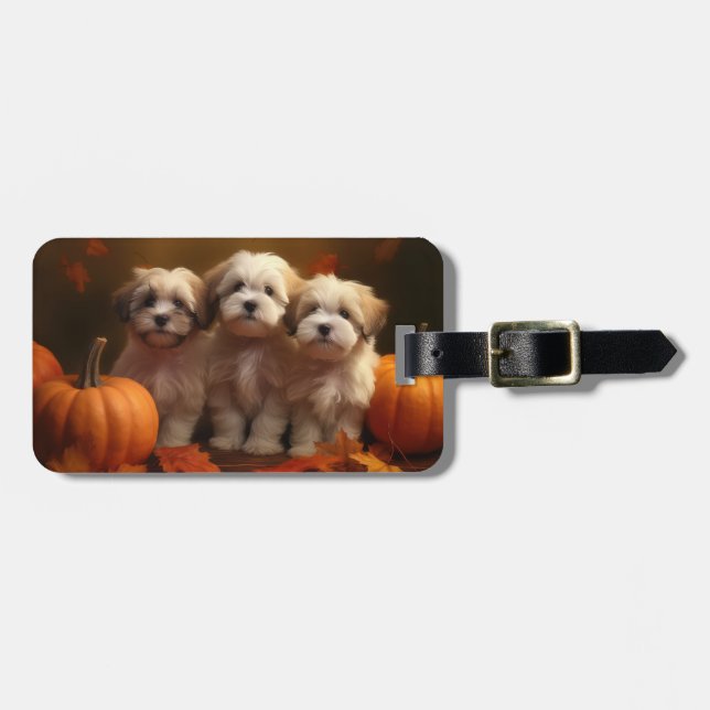 Havanese Puppy Autumn Delight Pumpkin Luggage Tag (Front Horizontal)
