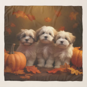 Havanese Puppy Autumn Delight Pumpkin Scarf