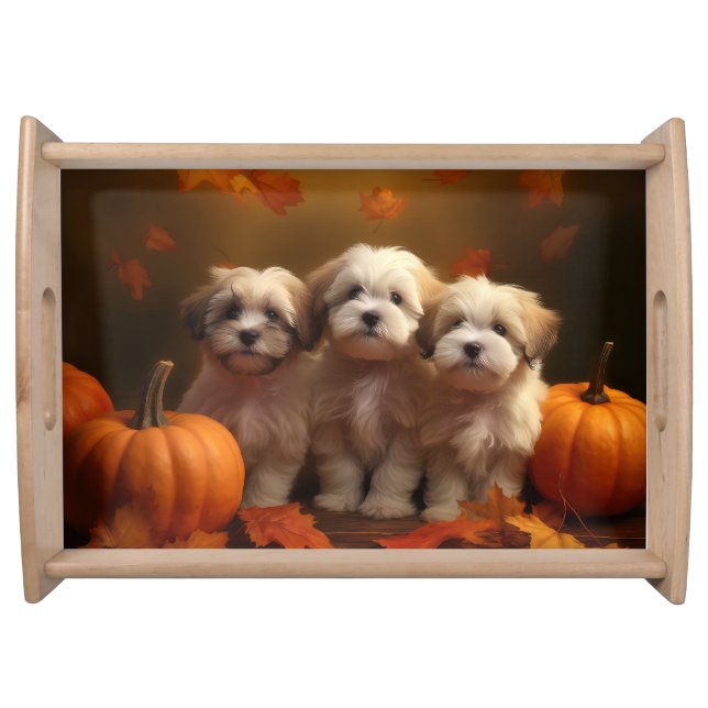Havanese Puppy Autumn Delight Pumpkin Serving Tray (Front)