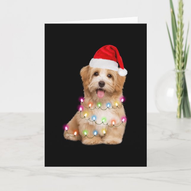Havanese puppy christmas gift for her card (Front)