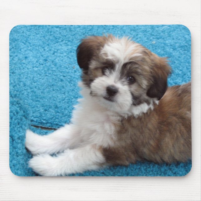 Havanese Puppy - Customized Mouse Pad (Front)