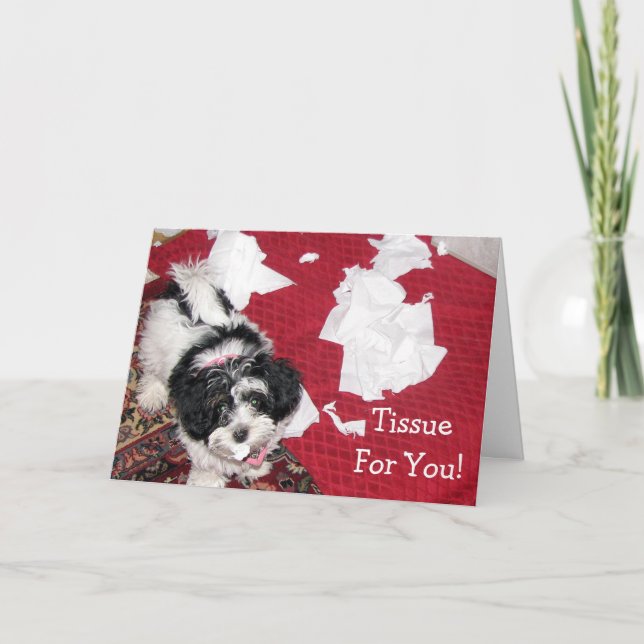 Havanese puppy - Get Well Card - Tissue For You! (Front)