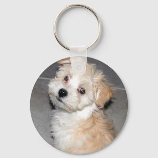 Havanese Puppy Keychain