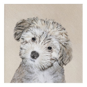 Havanese Puppy Painting - Cute Original Dog Art