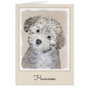 Havanese Puppy Painting - Cute Original Dog Art Cards