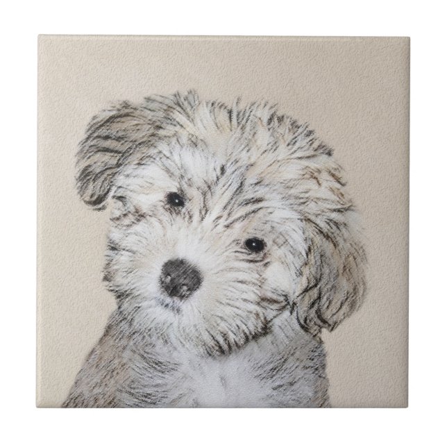Havanese Puppy Painting - Cute Original Dog Art Ceramic Tile (Front)