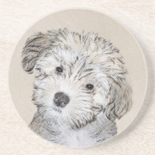 Havanese Puppy Painting - Cute Original Dog Art Drink Coaster