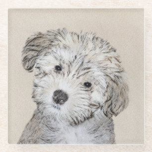 Havanese Puppy Painting - Cute Original Dog Art Glass Coaster