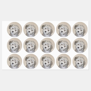 Havanese Puppy Painting - Cute Original Dog Art Labels