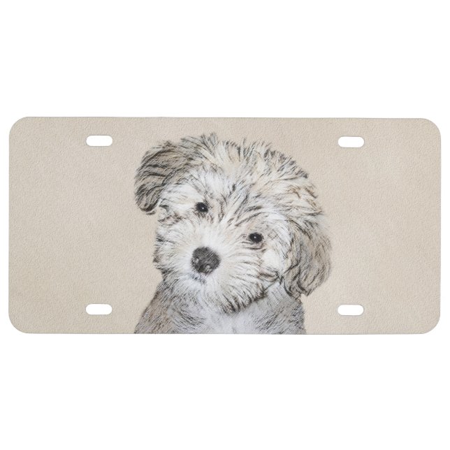 Havanese Puppy Painting - Cute Original Dog Art License Plate (Front)