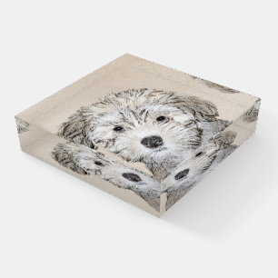 Havanese Puppy Painting - Cute Original Dog Art Paperweight