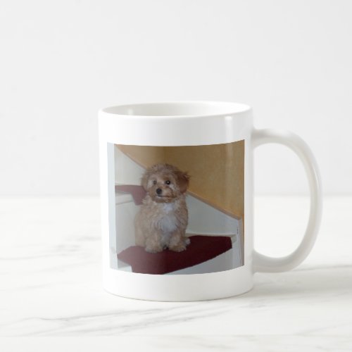 havanese puppypng coffee mug