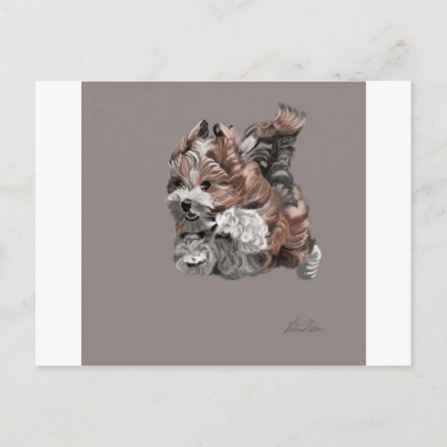 Havanese Puppy Postcard (Front)