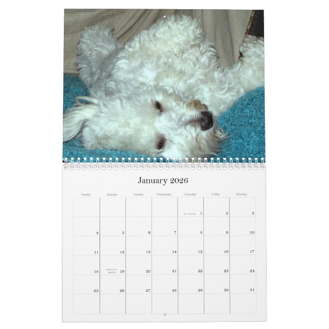 Havanese Puppy Rescue Calendar 2012 (Jan 2026)