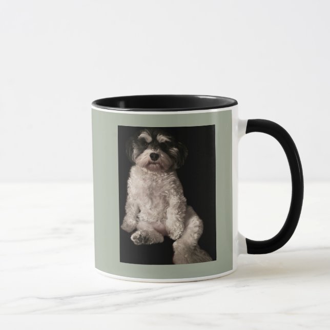 Havanese-put your dog's picture here mug (Right)