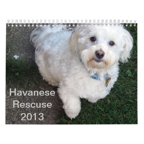 Havanese Rescue Calendar