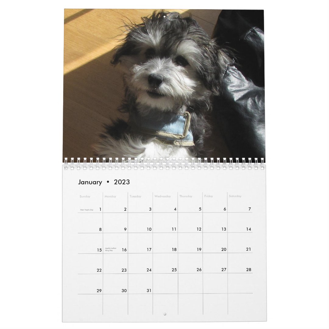 Havanese Rescue Calendar Zazzle