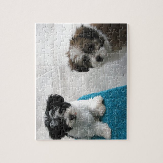 Havanese Rescue Puppies Black White Gray Jigsaw Puzzle (Vertical)