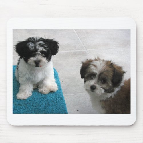 Havanese Rescue Puppies Black White Gray Mouse Pad