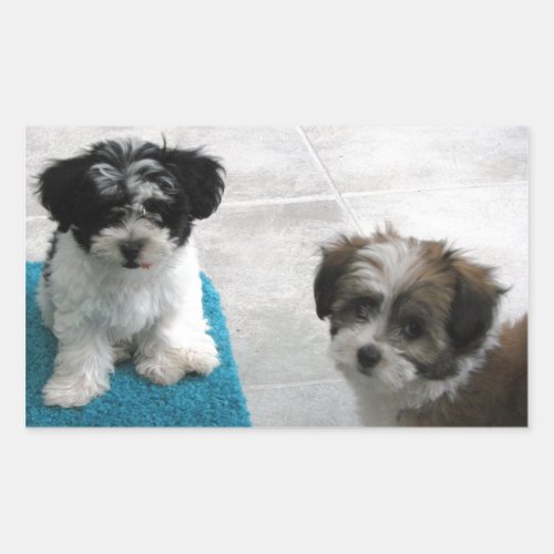 Havanese Rescue Puppies Black White Gray Rectangular Sticker