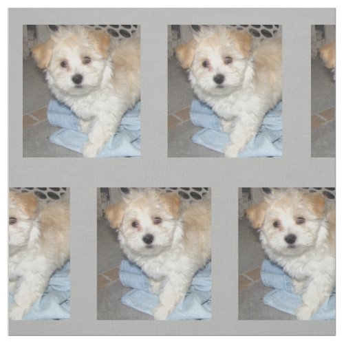 Havanese Rescue Puppt Fabric