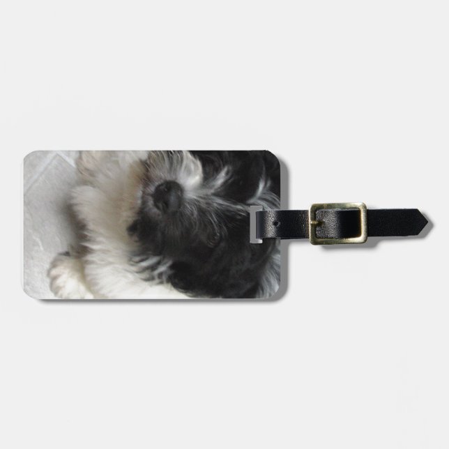 Havanese Rescue Puppy black and white Luggage Tag (Front Horizontal)