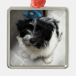 Havanese Rescue Puppy black and white Metal Ornament